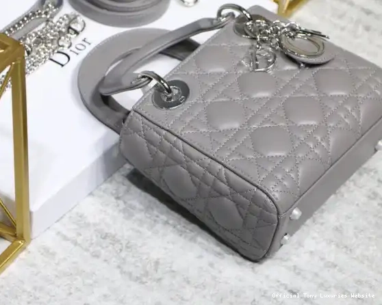 Tony Luxuries Lady Mini With diro Lambskin 0602